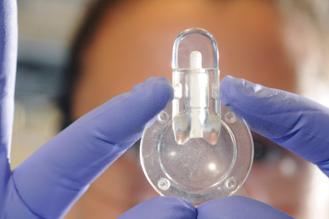 A prototype device for anemia testing. The device could allow faster diagnosis of the common blood disorder and allow people with chronic forms of the disease to inexpensively monitor their blood at home. (Gary Meek/Georgia Tech )