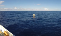 Man in Inflatable Bubble Tries Running to Bermuda (Video)