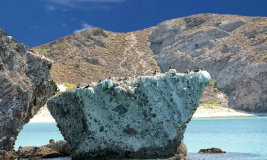 Top Reasons to Visit Cabo San Lucas, Mexico