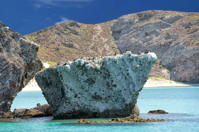 Cabo San Lucas (Shutterstock*)