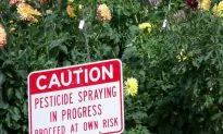 Mental Health Awareness Week: Pesticide Use by Farmers Linked to High Rates of Depression, Suicides