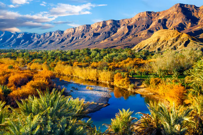 Lush oasis, Morocco (Shutterstock*)
