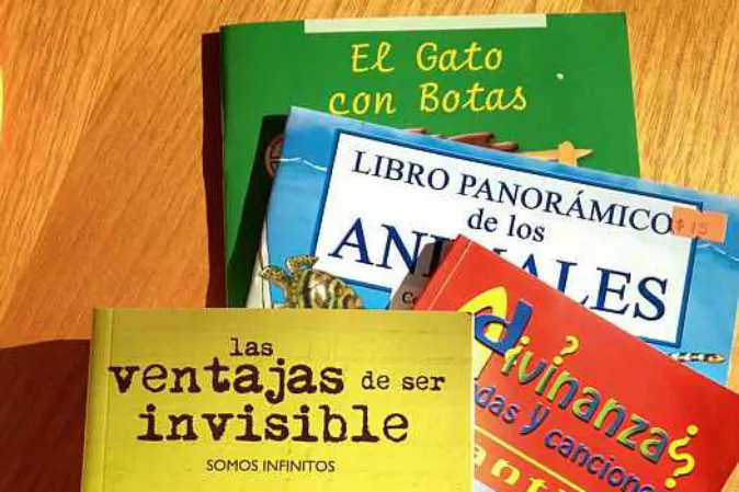Spanish language books (Vagabond Journey)