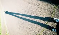 No Single Gene Makes You Tall or Short