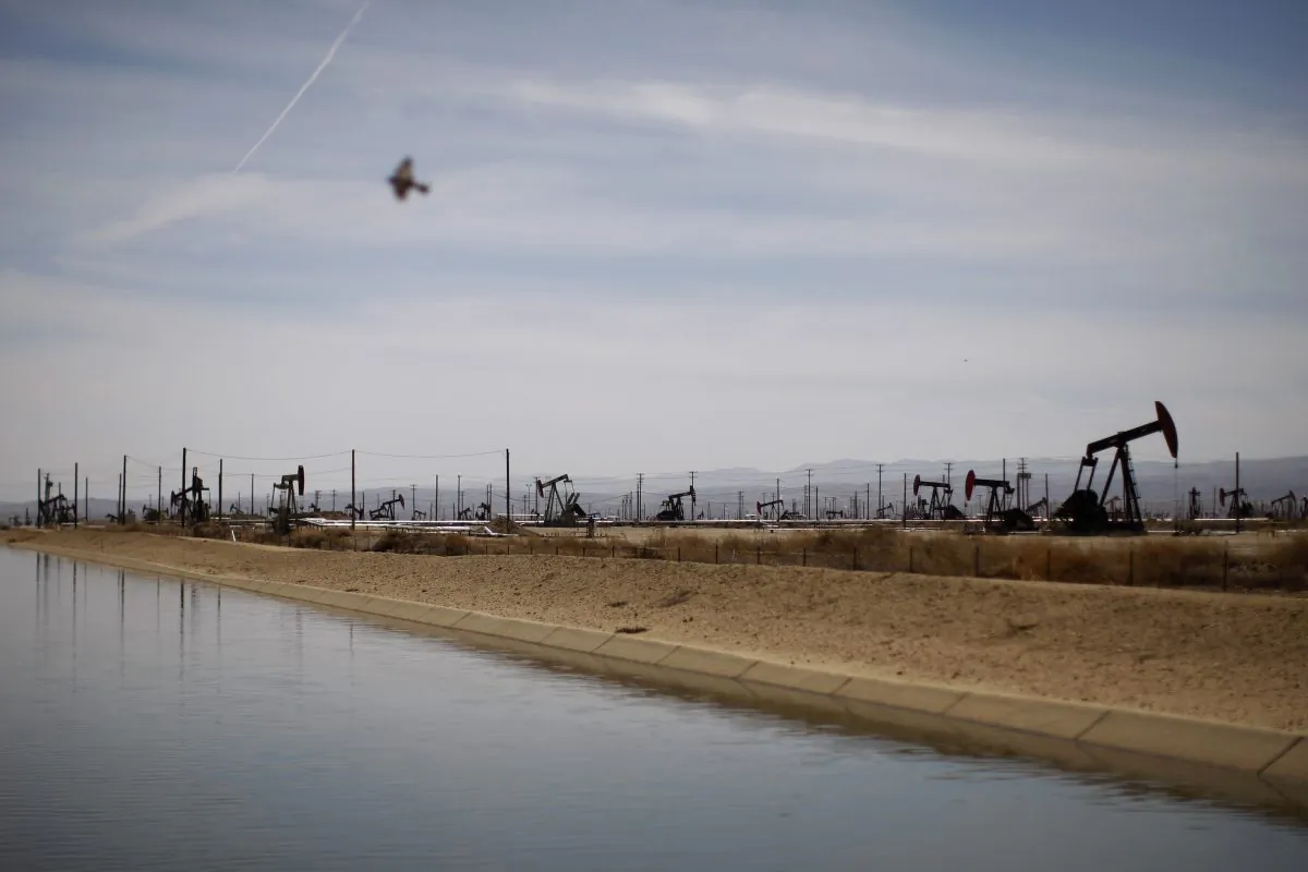 A swallows flies over a canal near Lost Hills, Calif., on March 23, 2014. (David McNew/Getty Images)