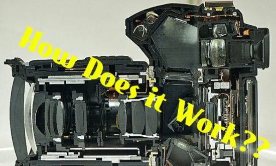 How Does DSLR Work?