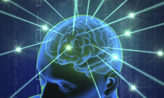 You Have a ‘GPS’ in Your Brain, Could It Help You Find Love? Your Lost Dog?