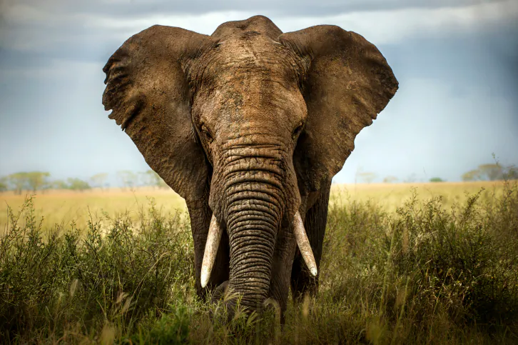(Lara Zanarini/iStock/Thinkstock)