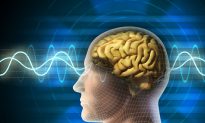 Zapping the Brain With Tiny Magnetic Pulses Improves Memory
