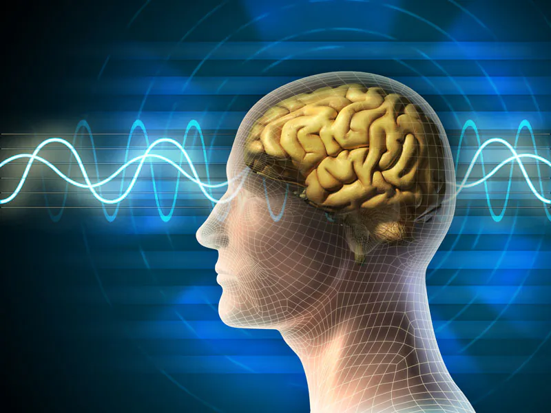 Who doesn’t want more brain power? (Shutterstock*)