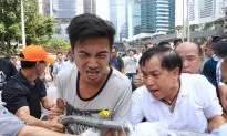 Away From the Barricades, an Argument About Rule of Law in Hong Kong
