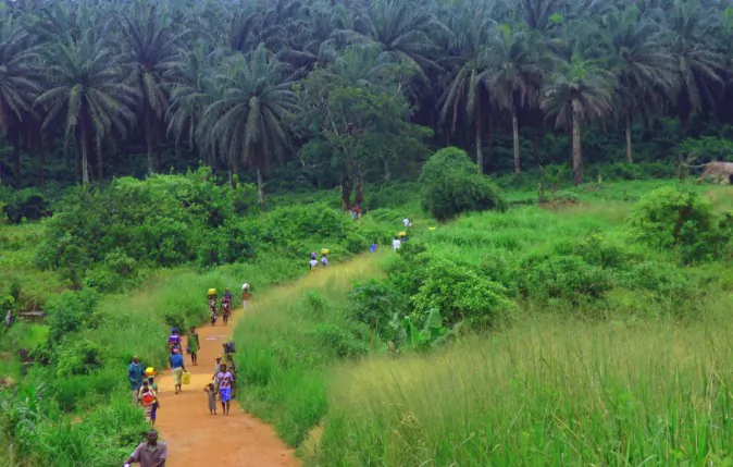 Kenema-Kailahun Road (Wikimedia-Commons)