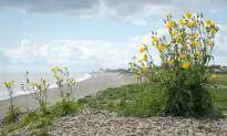 6 Great UK Coastal Destinations