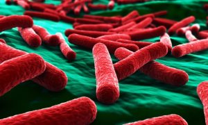 The Second Brain: Gut Bacteria Control Human Behavior to Get the Best Nutrients 