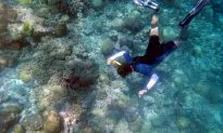 Top 5 Things to Do in the Maldives