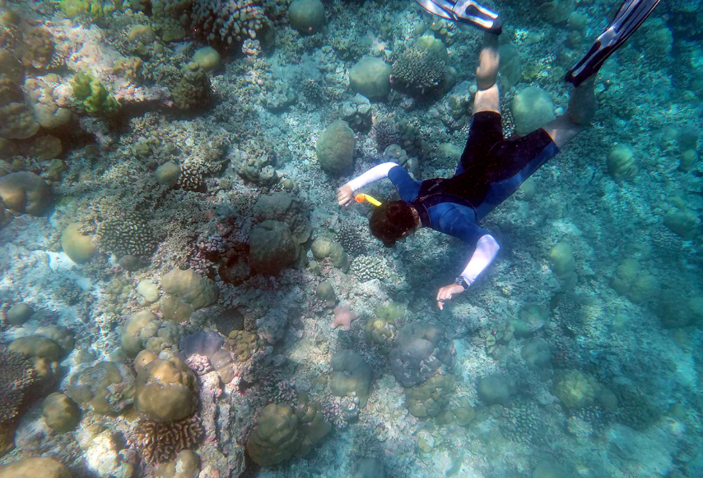 Snorkel safari (Beth Williams, BesuDesu Abroad)