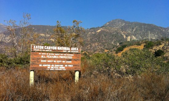 Social Media May Encourage Dangerous Activities in Parks and Forests