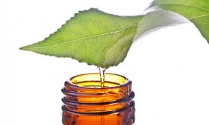 How to Use Essential Oils Properly and Conditions They Can Remedy