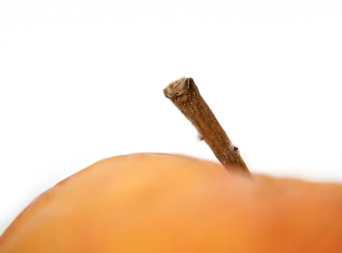 (Shutterstock*)
