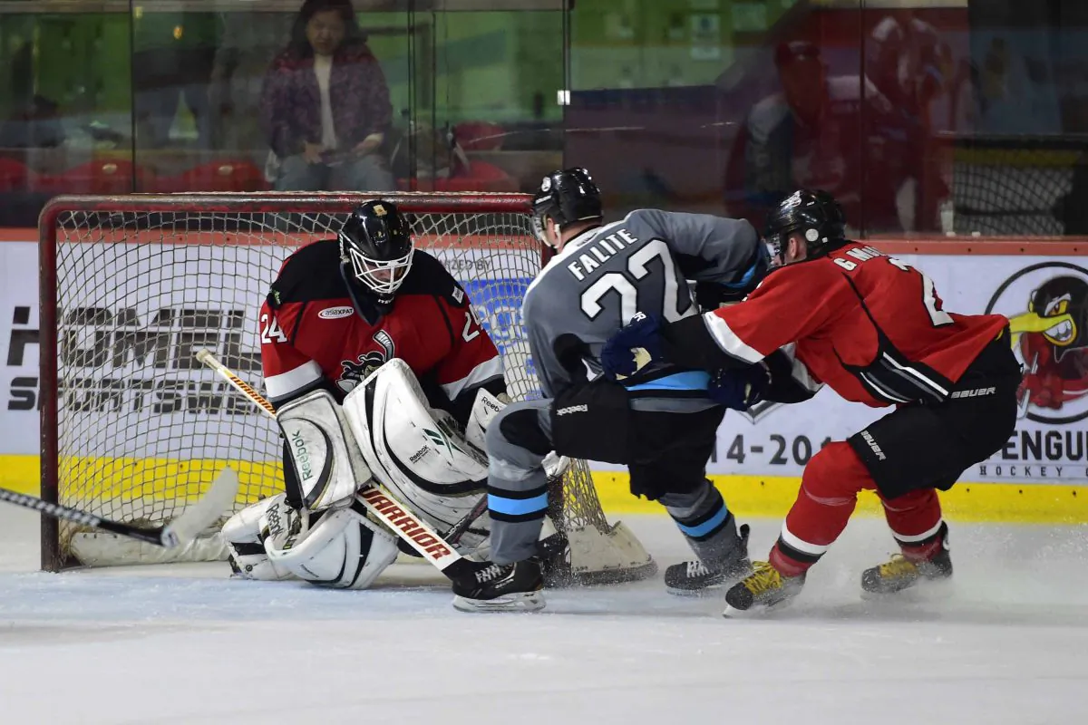 South China Sharks’ Craig Falite attacks the Kowloon Kowloon Warriors goal during their CIHL match at Mega Ice on Saturday Oct 11, 2014. (Bill Cox/Epoch Times)