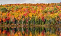 Fall Colors in Quebec: View the Changing Leaves (Video)