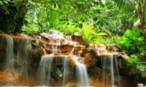 Costa Rica on a Budget