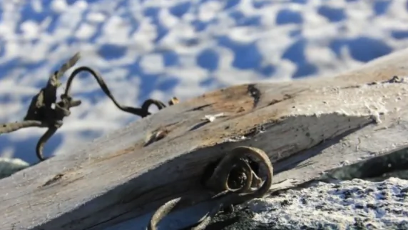 1,300 Year-Old Ski Found in Norway (Video)