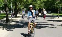 The Art of the Amsterdam Bicycle