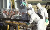 Comparing the Spread of Ebola to AIDS
