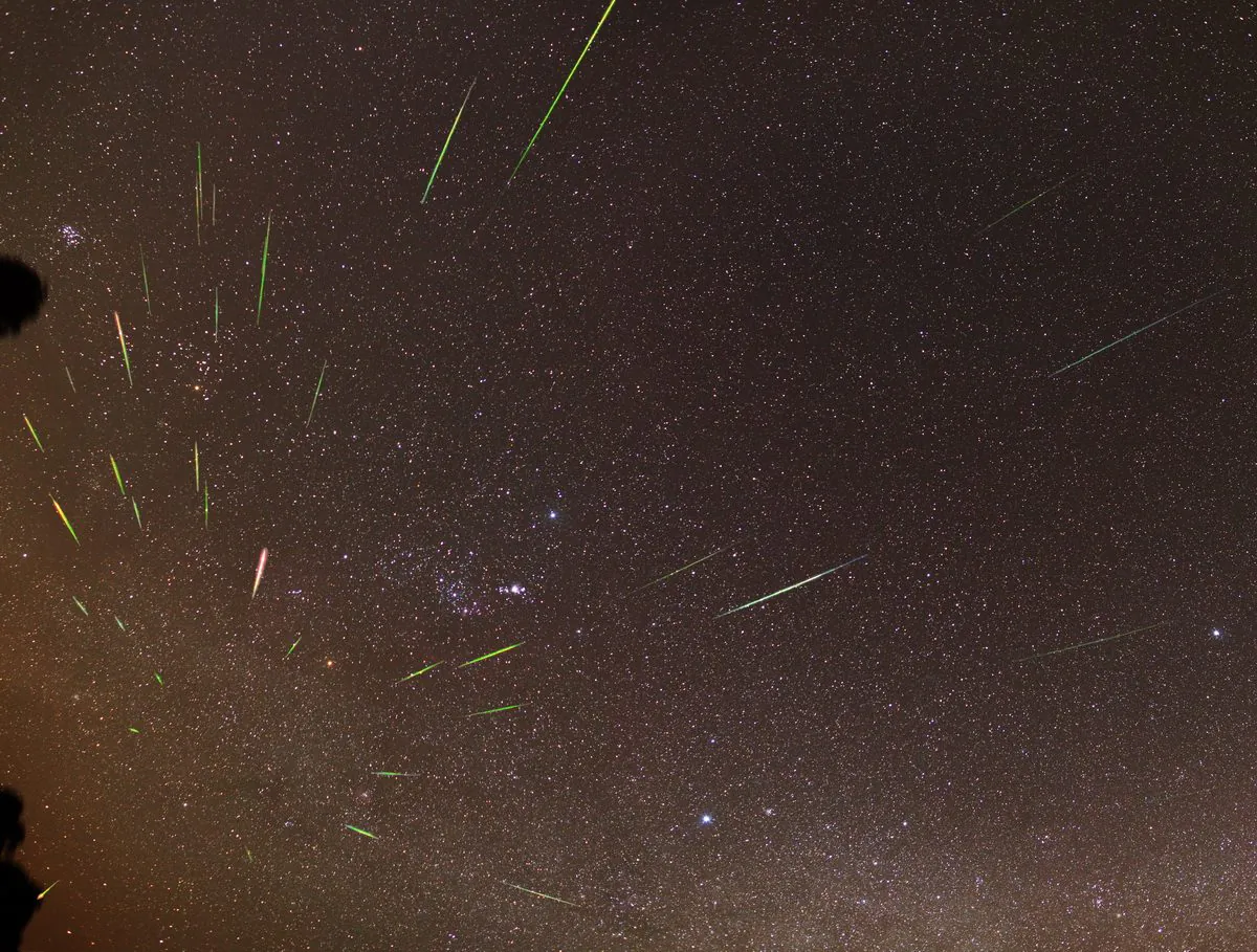 Meteors streak outwards from the top of Orion’s head as seen in 2012 from central Victoria. (Phil Hart)