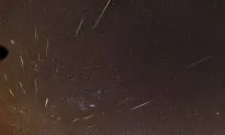 WATCH: One of the Year’s Best Meteor Showers, Thanks to Halley’s Comet