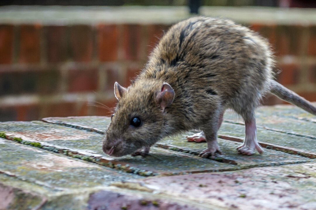 (Dimitar_hr/iStock/Thinkstock)