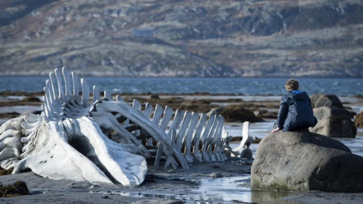 A poster of the movie "Leviathan," by Andrey Zvyagintsev. (Sony Pictures)