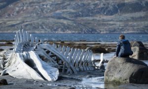 London Film Festival Names the Best of 2014, and the Best Is...