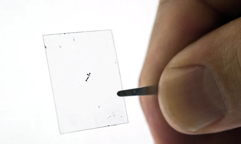 A sample of the atomically thin material molybdenum disulfide. (Rob Felt)