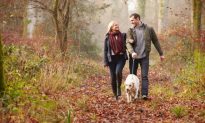 Walking More May Be Key for a Longer, Healthier Life