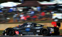 Petit Le Mans 2014: TUSC Caps the Season With a Successful Event