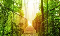Top 5 Costa Rica Experiences