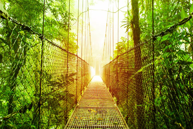 Hanging bridge in Costa Rica rainforest park (Shutterstock*)