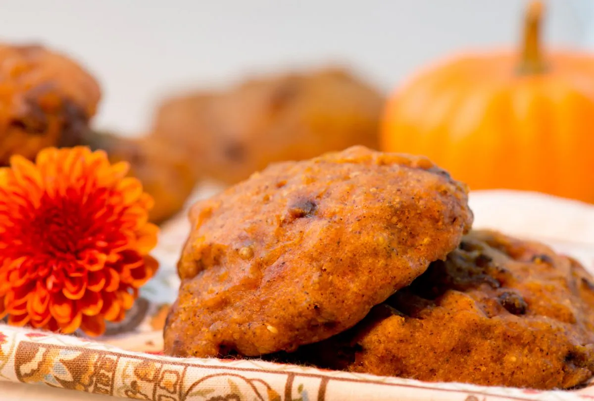 Pumpkin Chocolate Chip Quinoa Cookies (Cat Rooney)