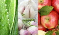 Top 5 Plant-Based Foods That Improve Your Digestion