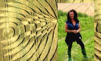One Woman’s 9-Year Arduous Journey to Unlock the Secrets of Crop Circles