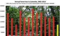 Colombia Reports Drop in Deforestation