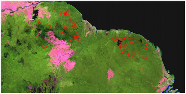 Guiana Shield Threatened by Gold Mining