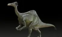 Dinosaur Puzzle Solved, Revealing the Weirdest-Looking Creature to Walk the Planet