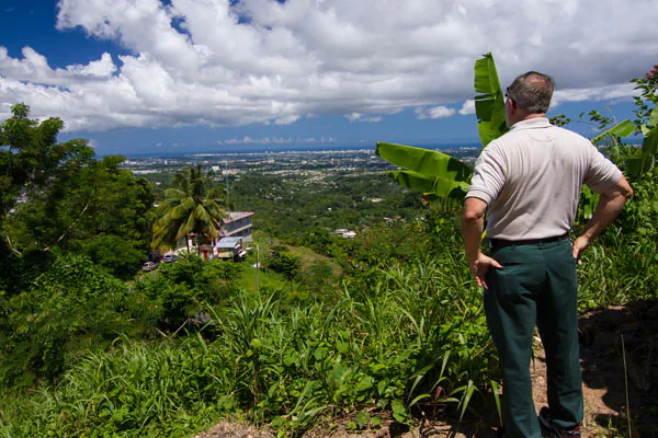 Recognize Novel Forests to Conserve Them