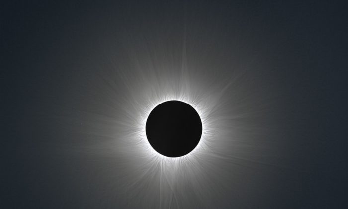 The sun’s delicate outer atmosphere made visible during a total solar eclipse. (Phil Hart)