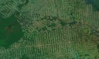 Conservation Networking with Technology