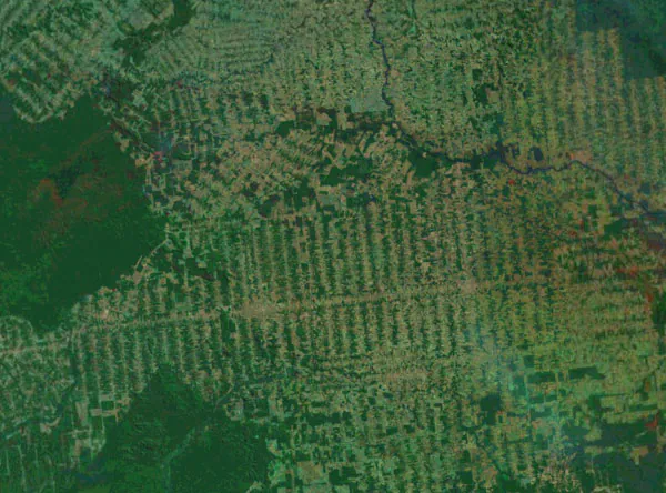 Landsat image showing deforestation in the Brazilian Amazon.
