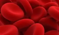 The Most Precious Blood on Earth